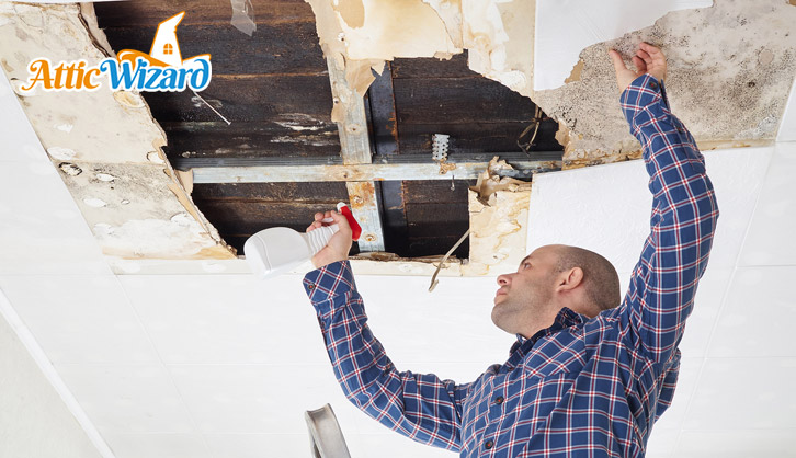 Mold Damage Restoration