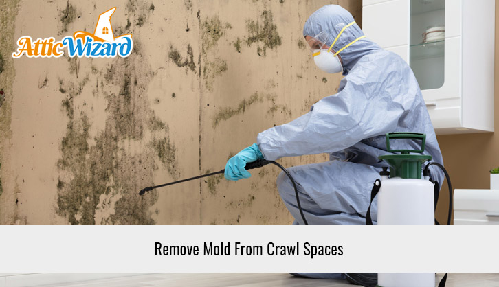 Remove Mold From Crawl Spaces