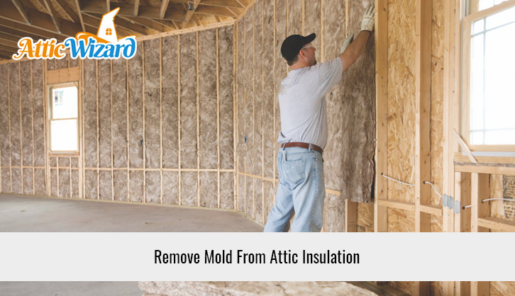 Remove Mold From Attic Insulation