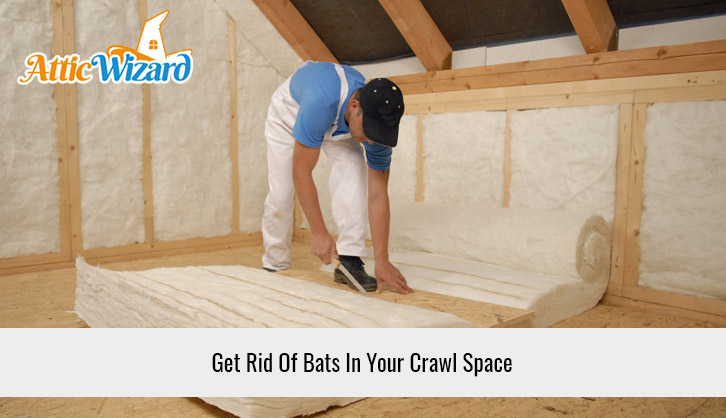 Get Rid Of Bats In Your Crawl Space