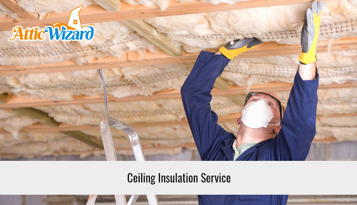 Ceiling Insulation Service