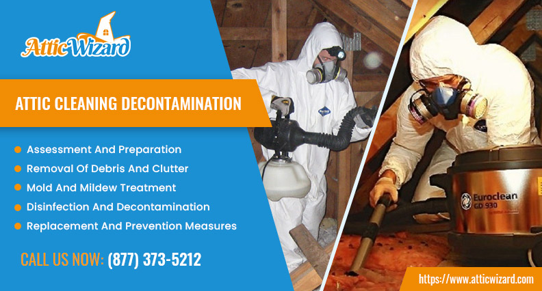 Attic Cleaning Decontamination